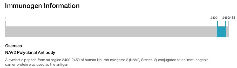 NAV2 Polyclonal Antibody