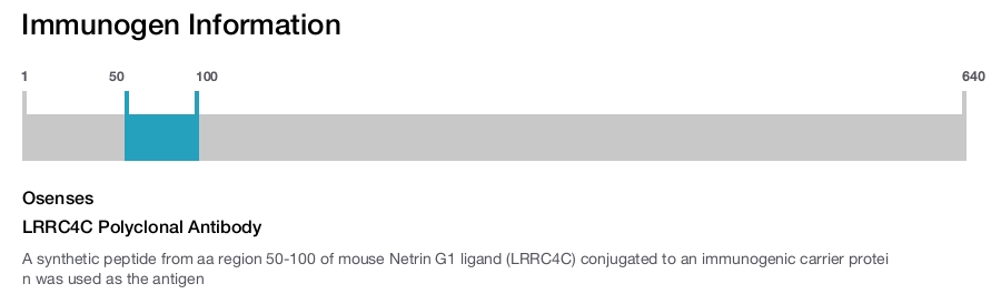 LRRC4C Polyclonal Antibody