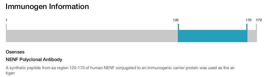 NENF Polyclonal Antibody