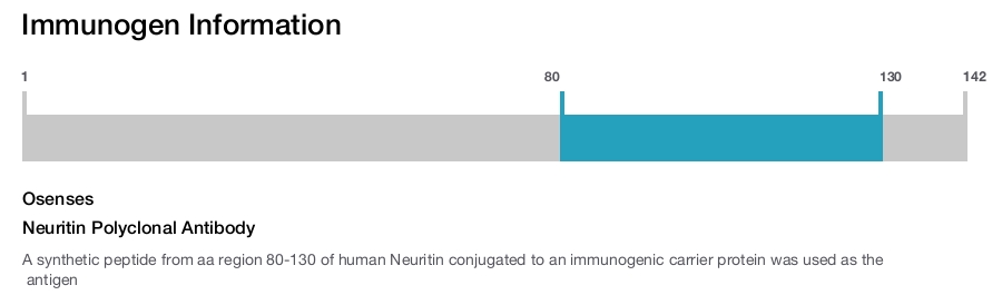 Neuritin Polyclonal Antibody