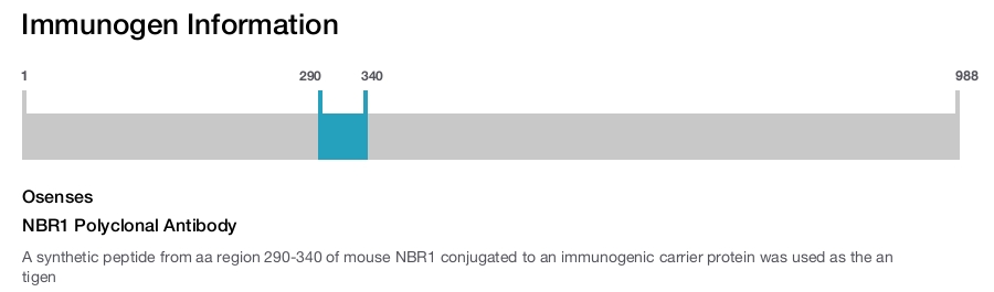 NBR1 Polyclonal Antibody