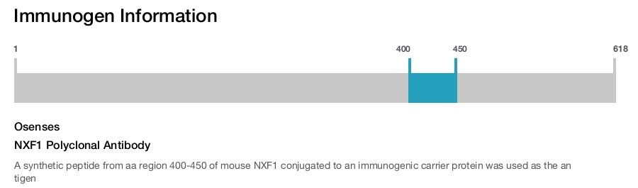 NXF1 Polyclonal Antibody