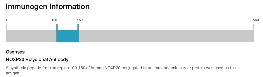 NOXP20 Polyclonal Antibody