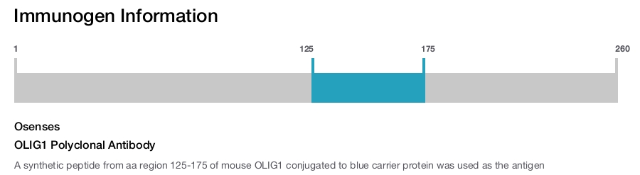 OLIG1 Polyclonal Antibody