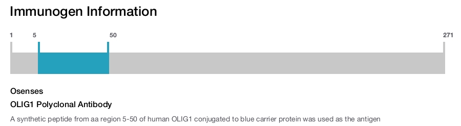 OLIG1 Polyclonal Antibody