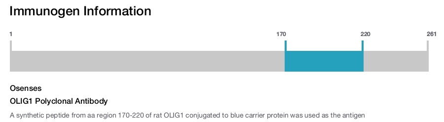 OLIG1 Polyclonal Antibody