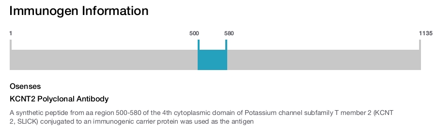 KCNT2 Polyclonal Antibody