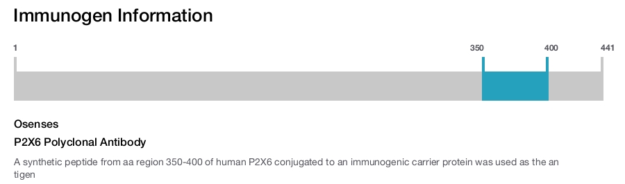 P2X6 Polyclonal Antibody