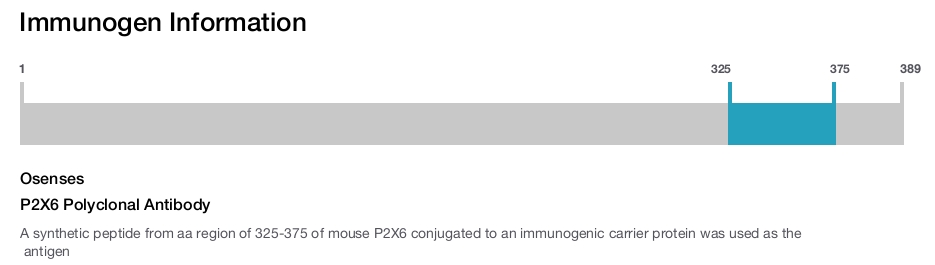 P2X6 Polyclonal Antibody