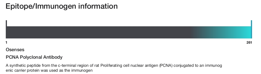 PCNA Polyclonal Antibody