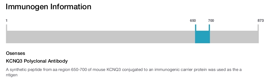 KCNQ3 Polyclonal Antibody