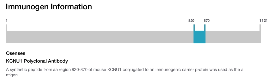 KCNU1 Polyclonal Antibody