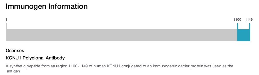 KCNU1 Polyclonal Antibody