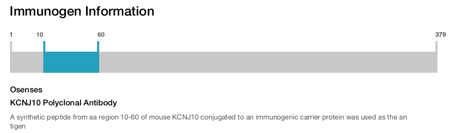 KCNJ10 Polyclonal Antibody