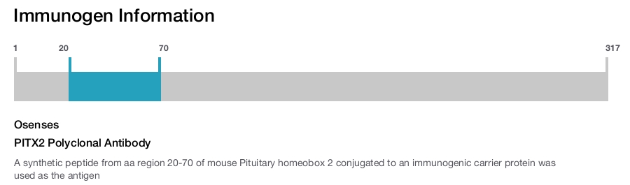 PITX2 Polyclonal Antibody