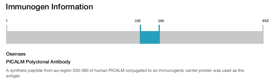 PICALM Polyclonal Antibody