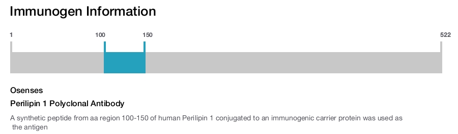 Perilipin 1 Polyclonal Antibody