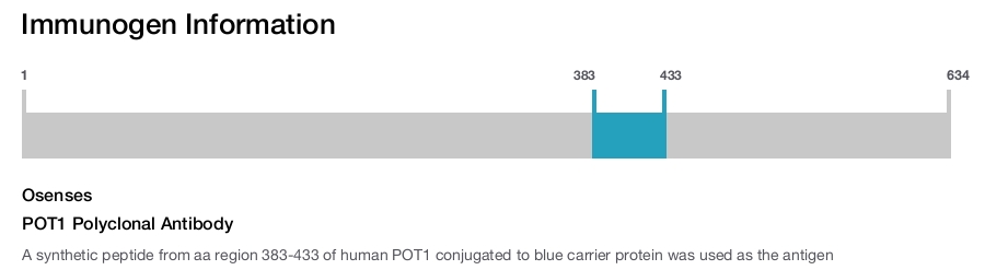 POT1 Polyclonal Antibody