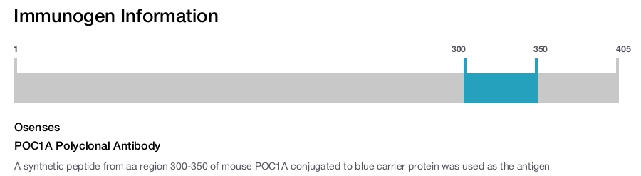 POC1A Polyclonal Antibody