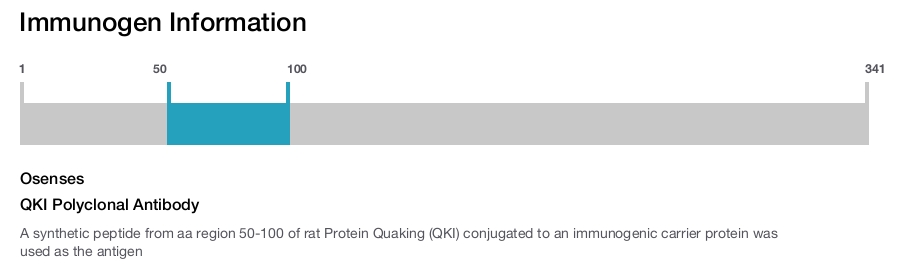 QKI Polyclonal Antibody