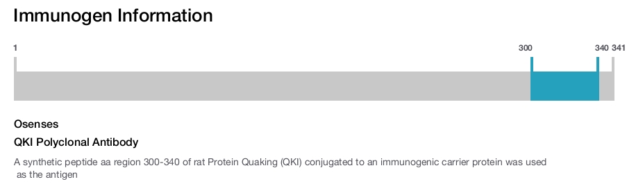 QKI Polyclonal Antibody