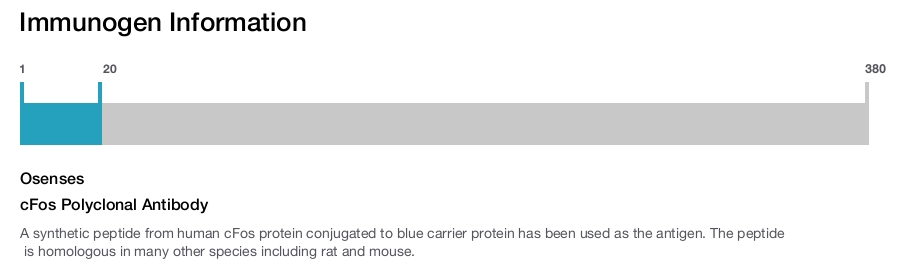 cFos Polyclonal Antibody