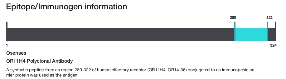 OR11H4 Polyclonal Antibody