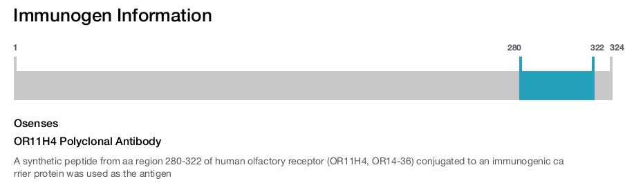 OR11H4 Polyclonal Antibody