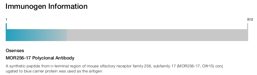 MOR256-17 Polyclonal Antibody