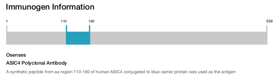 ASIC4 Polyclonal Antibody