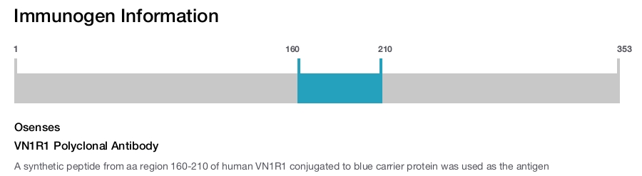 VN1R1 Polyclonal Antibody