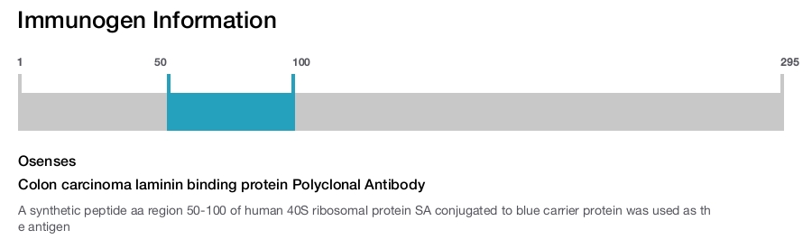Colon carcinoma laminin binding protein Polyclonal Antibody