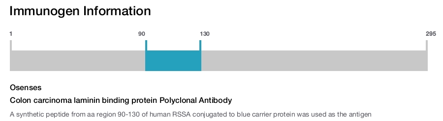 Colon carcinoma laminin binding protein Polyclonal Antibody