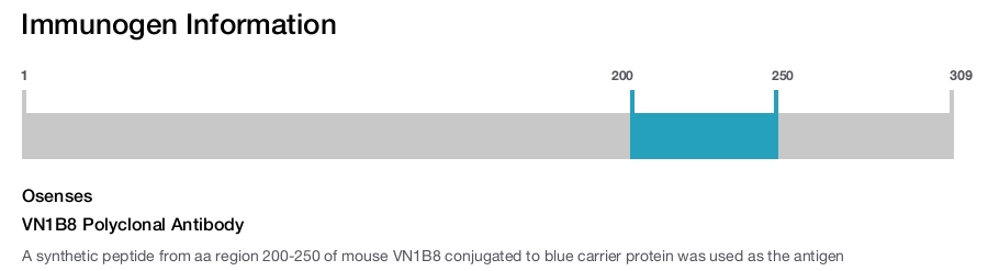 VN1B8 Polyclonal Antibody