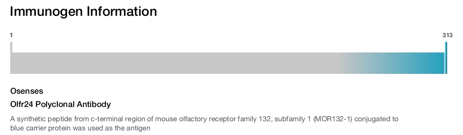 Olfr24 Polyclonal Antibody