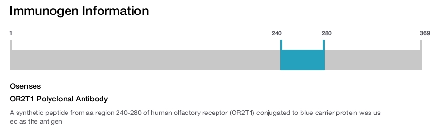 OR2T1 Polyclonal Antibody