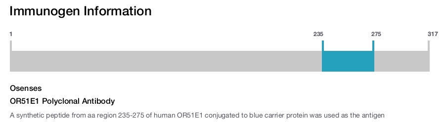 OR51E1 Polyclonal Antibody
