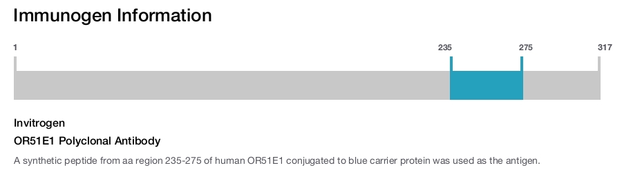 OR51E1 Polyclonal Antibody