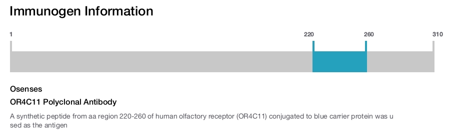 OR4C11 Polyclonal Antibody
