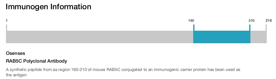 RAB5C Polyclonal Antibody