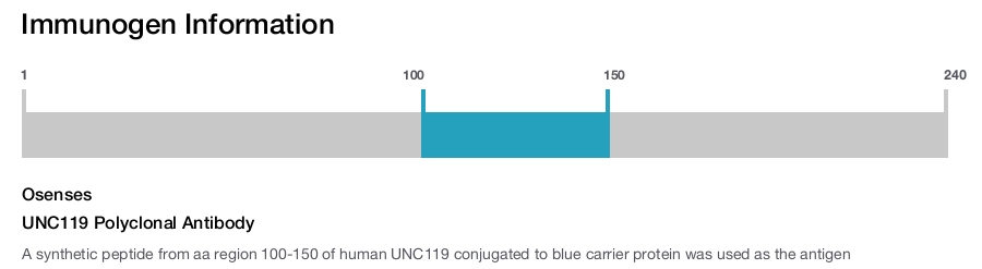 UNC119 Polyclonal Antibody