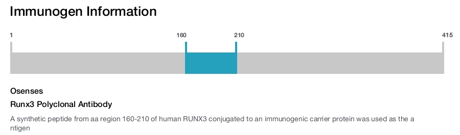 Runx3 Polyclonal Antibody