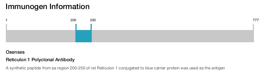 Reticulon 1 Polyclonal Antibody