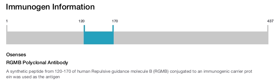 RGMB Polyclonal Antibody