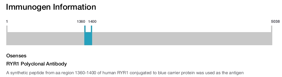 RYR1 Polyclonal Antibody