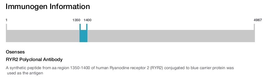 RYR2 Polyclonal Antibody
