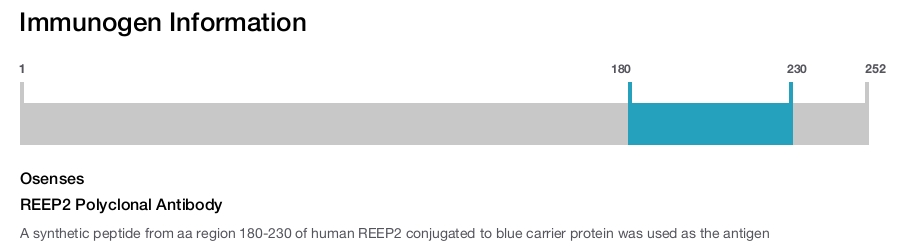 REEP2 Polyclonal Antibody