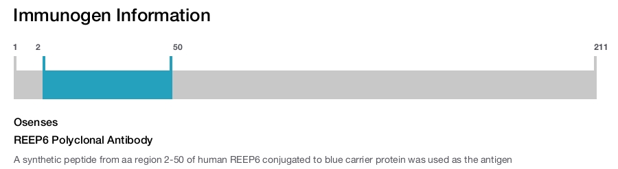 REEP6 Polyclonal Antibody