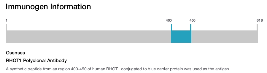 RHOT1 Polyclonal Antibody