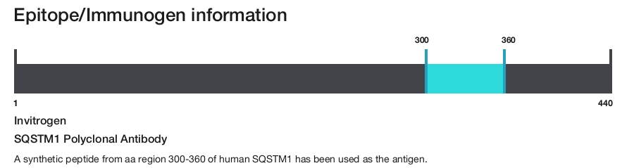SQSTM1 Polyclonal Antibody